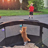 ToysOpoly, jaula de 45 pulgadas interior/exterior, corralito para animal doméstico La mejor perrera de ejercicio para tu perro, gato, conejo, perrito, hámster o conejillo de Indias Pluma portable para un fácil trazado - BESTMASCOTA.COM