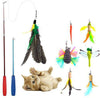 Cat juguetes interactivo, 9 paquetes retráctil gato juguete Varita, Cat Juguete de plumas, Assorted recambios Teaser Varita Exerciser Toy Set, pescado Bird Butterfly Dragonfly Gusano - BESTMASCOTA.COM