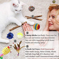 SunGrow Chew Sticks - Molar and Teeth Grinding Toy for Small Pets - Natural, Safe Chew Toy for Maine Coons, Calicos, Siamese and Tabby Cats - BESTMASCOTA.COM