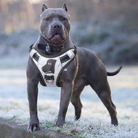 Arnés de perro grande de BABYLTRL de plata antidesgarros ajustable para mascotas de material Oxford reflectante suave chaleco para perros de tamaño mediano grande arnés de fácil control - BESTMASCOTA.COM