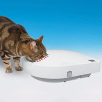 Cat Mate C500 Alimentador automático para mascotas con temporizador digital para gatos y perros pequeños - BESTMASCOTA.COM