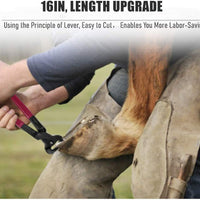 Juego de cortadores de pezuña de caballos de 16 pulgadas, apto para recortar cabras, caballos, vacas, cerdos y cabras - BESTMASCOTA.COM