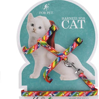 Stock Show - Arnés de nailon ajustable para gato pequeño, con correa, cuerda de seguridad para caminar - BESTMASCOTA.COM