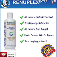 Champú para perros tratados por sarna. Champú antihongos RenuPlex, extra fuerte para perros. Elimina sarna, ácaros y costras. Champú antihongos, All Natural para perro. . - BESTMASCOTA.COM