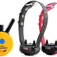 Mini educador para entrenamiento de perros, sistema educador de entrenamiento remoto, impermeable, sensor de vibración con eOutletDeals - BESTMASCOTA.COM