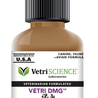 VetriScience Laboratories - Vetri DMG Liquid, Endurance and Immune Support for Cats, Dogs and Birds - BESTMASCOTA.COM