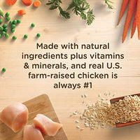 Rachael Ray Nutrish Natural Premium Dry Dog Food - BESTMASCOTA.COM