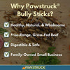 Pawstruck Mini Bully Sticks para perros pequeños y cachorros – Natural Bulk Dental Treats para razas de juguete, carne de vacuno en miniatura mejor bajo olor Pizzle Stix masticar en primavera, trenzas, pesas - BESTMASCOTA.COM