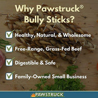 Pawstruck Mini Bully Sticks para perros pequeños y cachorros – Natural Bulk Dental Treats para razas de juguete, carne de vacuno en miniatura mejor bajo olor Pizzle Stix masticar en primavera, trenzas, pesas - BESTMASCOTA.COM