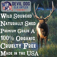 Premium Elk Antlers Dogs | All Natural Antler Dog Chew Elk Bone | Healthy & Long Lasting Aggressive Chewers | Wild Sourced in The USA - Veteran Owned - BESTMASCOTA.COM