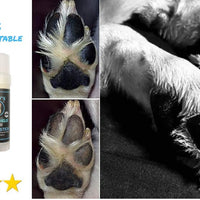 Baely's Paw Shield Rescue Stick – Confía en el original fabricado en América Paw Shield | Cera de protección de la pata de perro fácil de aplicar | Protección natural de la huella para lluvia fría y caliente y champiñones en nieve | 2 oz fácil de aplicar - BESTMASCOTA.COM