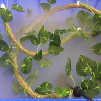 Jungle Vines Pet Decoración hábitat con sunction tazas flexible Pet Habitat Decoración para serpientes lagartos, ranas y otros Reptiles - BESTMASCOTA.COM