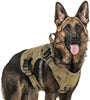 Rabbitgoo Tactical Dog Harness Vest Large with Handle, Military Working Dog Molle Vest with Metal Buckles & Loop Panels, No-Pull Adjustable Training Harness with Leash Clips for Walking Hiking Hunting - BESTMASCOTA.COM