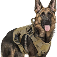 Rabbitgoo Tactical Dog Harness Vest Large with Handle, Military Working Dog Molle Vest with Metal Buckles & Loop Panels, No-Pull Adjustable Training Harness with Leash Clips for Walking Hiking Hunting - BESTMASCOTA.COM