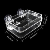 Tfwadmx - 2 comederos Gecko para gecko y gusanos de reptiles, fuente de agua, plato translúcido, antiescape, para gecko serpientes, camaleón, Iguana, lagarto - BESTMASCOTA.COM