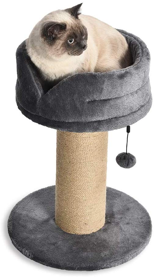 AmazonBasics Cat Post - BESTMASCOTA.COM