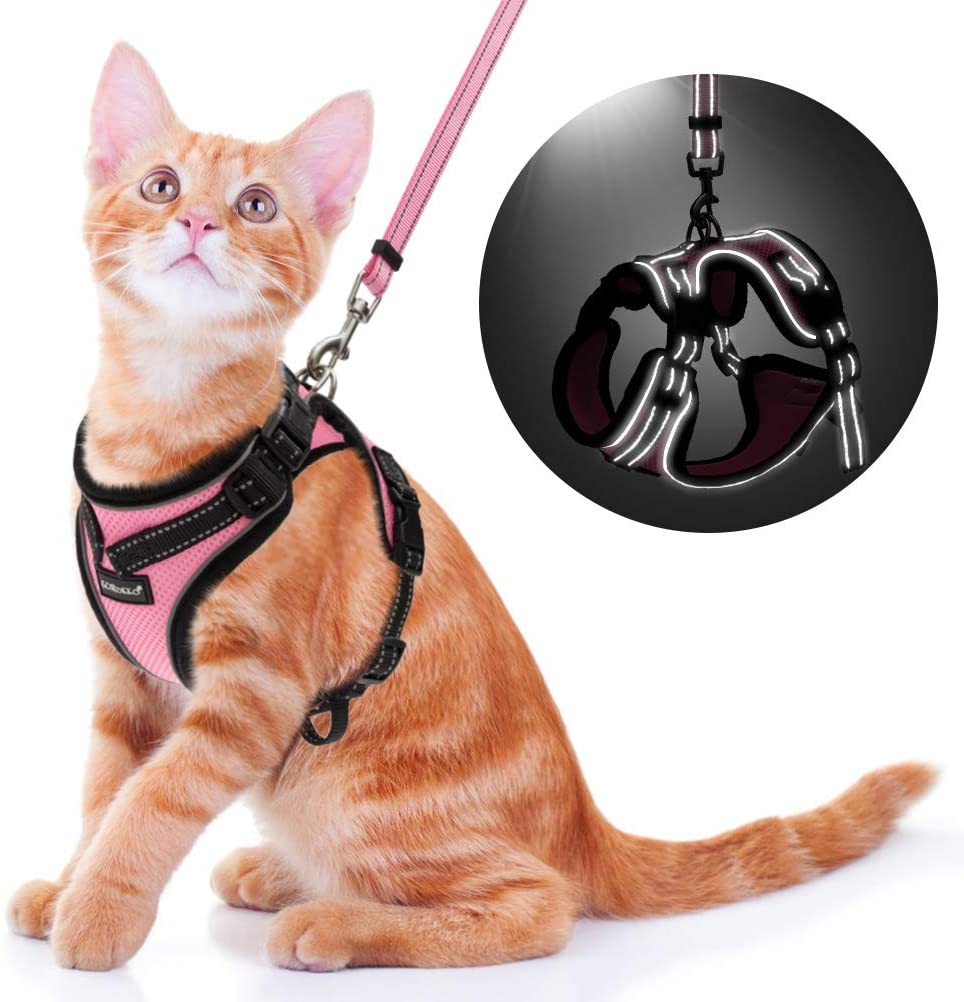 SCIROKKO Arnés y correa para gatos – Arnés ajustable a prueba de escape para cachorro para exteriores con correa reflectante 3M, malla suave con clip de metal chaqueta caminante para gatito conejo - BESTMASCOTA.COM