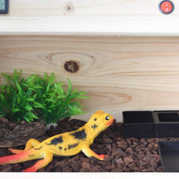 omem gusano plato Mini reptil comida y tazón de agua 2 en 1 - BESTMASCOTA.COM