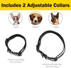 eXuby Collar de Golpe para Perros Pequeños con Mando a Distancia - Incluye 2 Collares (Pequeño y Mediano) + Entrenamiento Gratis Clicker Perro - 3 Modos (Sonido, vibración y Golpeo) - Ahorra dinero con Baterías Recargables - BESTMASCOTA.COM