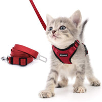 Eagloo - Juego de arnés y correa para gato, a prueba de escape, con correa 2 en 1 y cinturón de seguridad para coche, arnés ajustable para gatos, chaleco de malla suave con correa reflectante para gatito, conejo, cachorro - BESTMASCOTA.COM