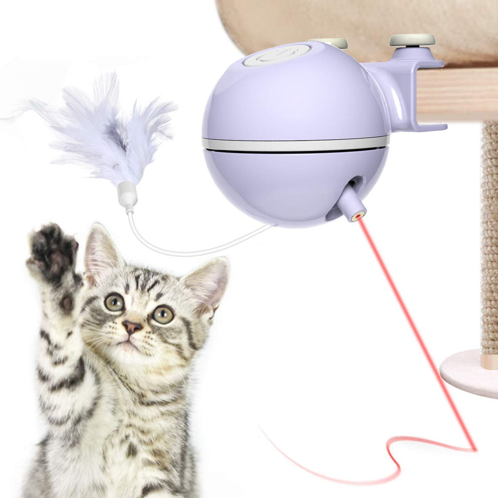Dadypet Interactive Cat Toy 2 In 1
