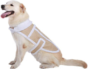 Namsan Abrigo para perro abrigado, chaqueta de perro, ropa de perro de invierno - BESTMASCOTA.COM