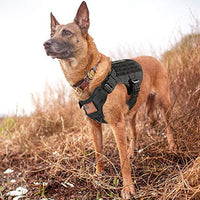 Rabbitgoo Tactical Dog Harness Vest Large with Handle, Military Working Dog Molle Vest with Metal Buckles & Loop Panels, No-Pull Adjustable Training Harness with Leash Clips for Walking Hiking Hunting - BESTMASCOTA.COM