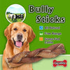 GigaBite Odor-Free Braided Bully Sticks - USDA & FDA Certified All Natural, Free Range Beef Pizzle Dog Treat – By Best Pet Supplies - BESTMASCOTA.COM