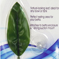 Almohadillas de hojas de Betta para peces Betta, acuarios de peces tropicales y acuarios de agua salada - BESTMASCOTA.COM
