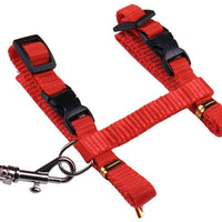 Gato Arnés y Correa Ajustable Cuello Nylon Azul, Rojo y 1 2 Pack perro One Size Fits All - BESTMASCOTA.COM