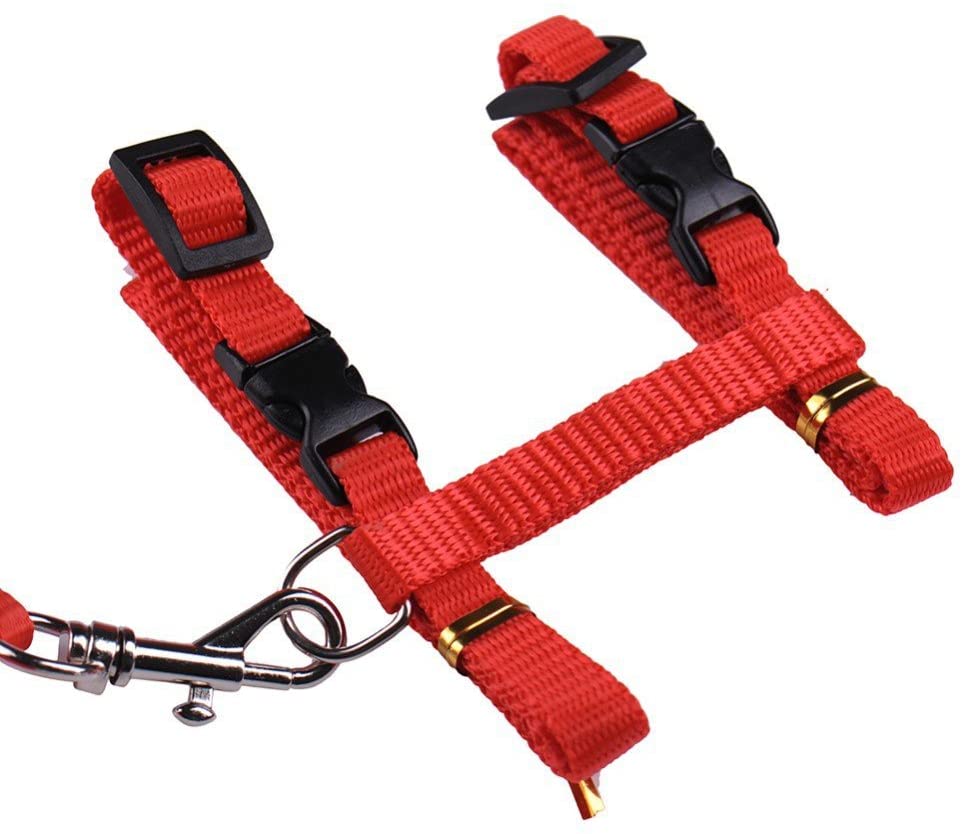 Gato Arnés y Correa Ajustable Cuello Nylon Azul, Rojo y 1 2 Pack perro One Size Fits All - BESTMASCOTA.COM