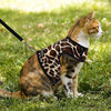 SCIROKKO - Arnés y correa para gato, a prueba de escape, ajustable, para caminar al aire libre, chaqueta con hebilla de seguridad, estampado de leopardo - BESTMASCOTA.COM