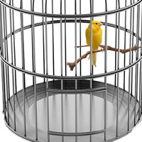 Kathson Parrot Perches, Pájaros Soporte Natural de Uva Silvestre Palo de Molienda de Canina Escalada de Pie Accesorios de Juguete Ramas para Parakeet, Budgies, Lovebirds - BESTMASCOTA.COM