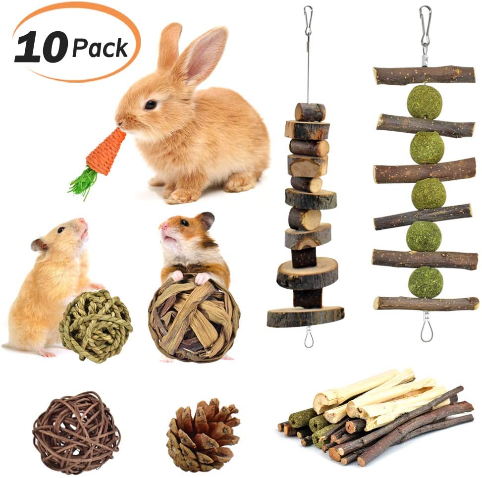 KATUMO - Juguetes para masticar conejo, 100% madera de manzana natural,  chinchillas, cobayas, hámsteres, juguetes para mascotas, accesorios  adecuados para conejos, ardillas, gerbios pequeños, masticar y jugar  ejercicio de dientes