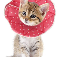 SLSON Collar de recuperación para gato, suave collar de cono para mascotas, protector para después de cirugía, de algodón, cierre ajustable, collar para gato y cachorro, color rosa - BESTMASCOTA.COM