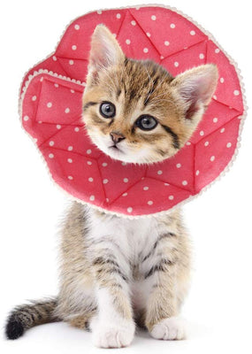 SLSON Collar de recuperación para gato, suave collar de cono para mascotas, protector para después de cirugía, de algodón, cierre ajustable, collar para gato y cachorro, color rosa - BESTMASCOTA.COM