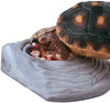 Tortuga de Herp instantánea comidas saludables alimentos Variety Pack - BESTMASCOTA.COM