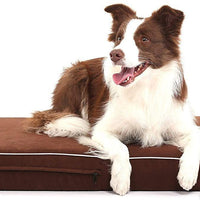 Laifug - Cama ortopédica de espuma viscoelástica para perro con forro impermeable duradero y funda extraíble lavable - BESTMASCOTA.COM