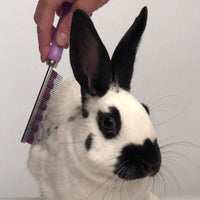 Peine para mascotas de Small Pet Select HairBuster, herramienta para descamación de conejos, gatos y perros, Paquete de 10 - BESTMASCOTA.COM