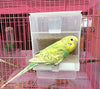 Old Tjikko - Comedero automático para loros, sin ensuciar, para pájaros, jaula, accesorios para Budgerigar, Canario, Cockatiel, Finch, Parakeet, Seed Food Container - BESTMASCOTA.COM