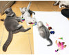 Cat Toys – Surtido Pack 20 Piezas Contiene Wand Varita Teaser Refill Ferret juguetes interactivos Pliegue bolas Furry Ratones bola con Bell mejor Catnip juguetes mouse de peluche con sonajero, mejor regalo de Navidad para Kitty - BESTMASCOTA.COM