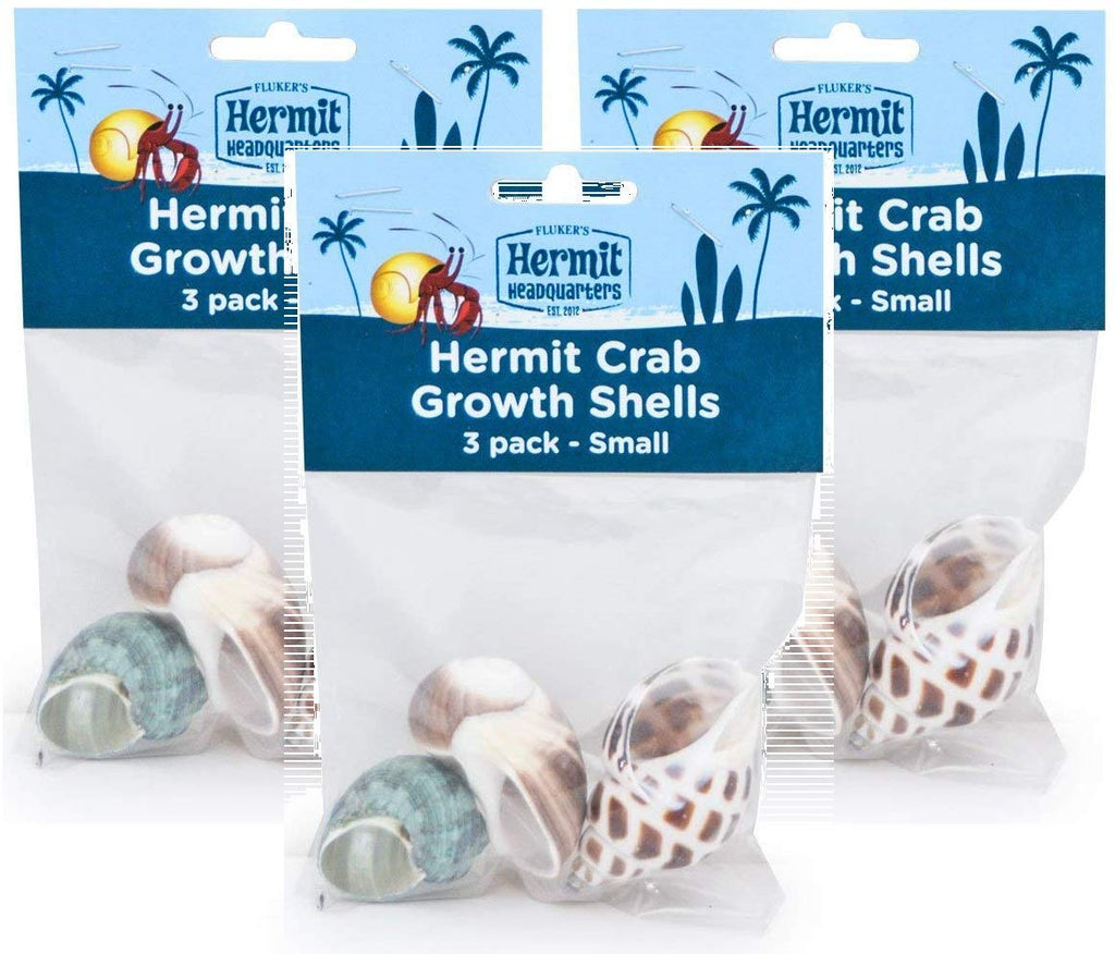 Flukers Hermit Crab Growth Shells - BESTMASCOTA.COM