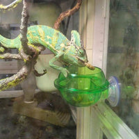 Tfwadmx Chameleon Cuenco, Comida para reptiles, 2 piezas de plato de agua Gecko Ledge Ventosa Comedero Chameleon Suministros Accesorios para Gecko Lizard Dragón Trenzado - BESTMASCOTA.COM