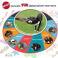 Juguete para perros Skinneeez Crinklers, duradero, sin relleno, antiarrugas, SPOT por Ethical Pet - BESTMASCOTA.COM