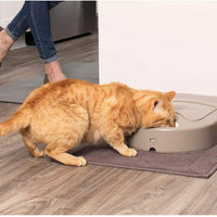 Alimentador automático de mascotas PetSafe , Blanco - BESTMASCOTA.COM
