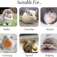 Heatoe 1 Ib Pet Molar Sweet Bamboo Snacks, Juguetes de Masticar Mascotas Molar Palos Molar para Conejos y Chinchillas y Cobayas y Chinchillas y Hámsters y Ardillas y otros animales pequeños. - BESTMASCOTA.COM