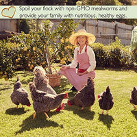 PICKY NEB 100% Non-GMO Dried Mealworms - Whole Large Meal Worms Bulk - High-Protein Treats Perfect for Your Chickens, Ducks, Wild Birds - BESTMASCOTA.COM