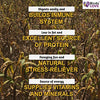 Birds LOVE Spray Millet Non-GMO for Birds Cockatiel Lovebird Parakeet Finch Canary All Parrots Healthy Treat - BESTMASCOTA.COM