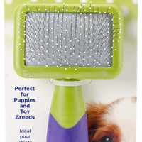 LilPals Slicker Brush, Paquete de 10 - BESTMASCOTA.COM