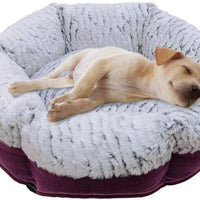 Esceneral Cama para mascotas para gatos y perros, tela suave de PV de calentamiento automático, cama para gatos de lino duradero y cama para perros pequeños - BESTMASCOTA.COM
